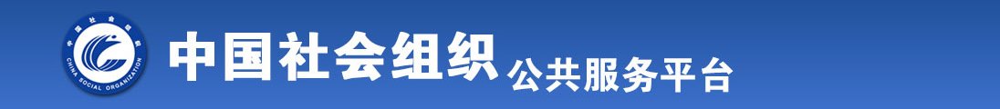 国产美女被操网站在线全国社会组织信息查询